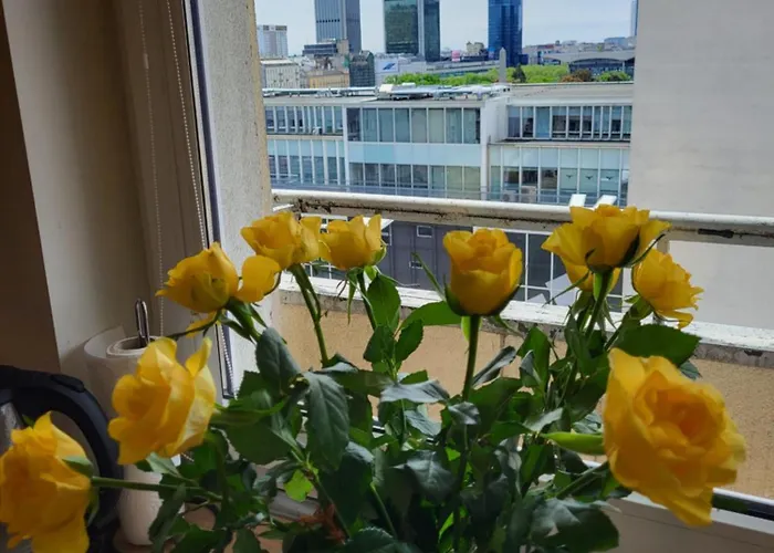 City View Studio Chmielna